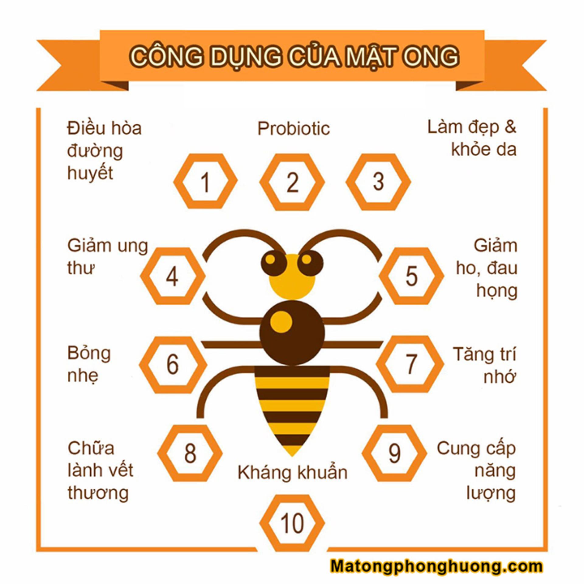 [NGUYÊN CHẤT 100%] Mật Ong Hoa Cà Phê Đaklak "SWEET HONEY"