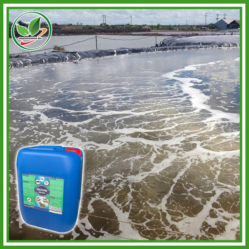 Chế phẩm sinh học EM gốc - Emzone. Can 5l