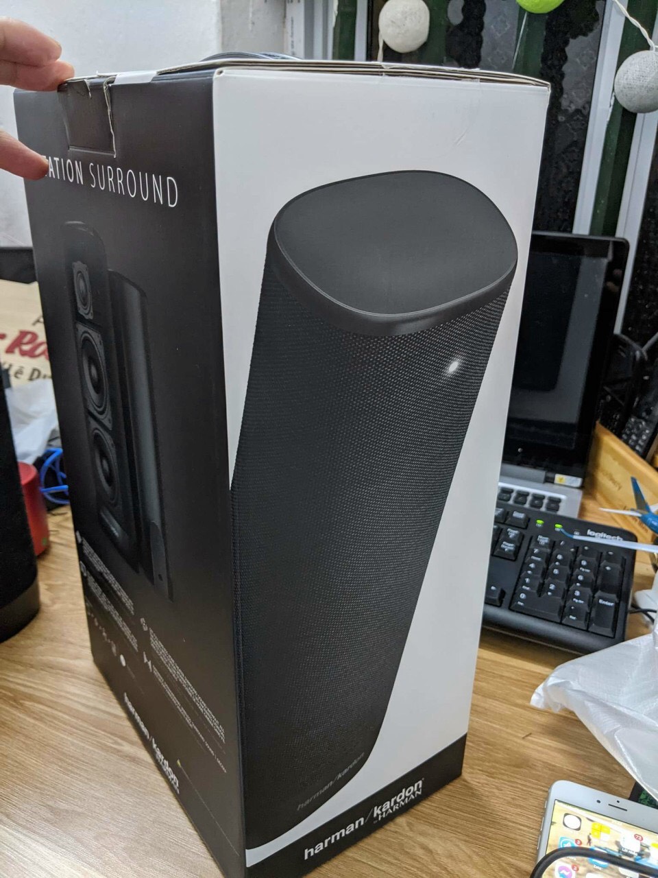 Loa Harman Kardon Citation Surround