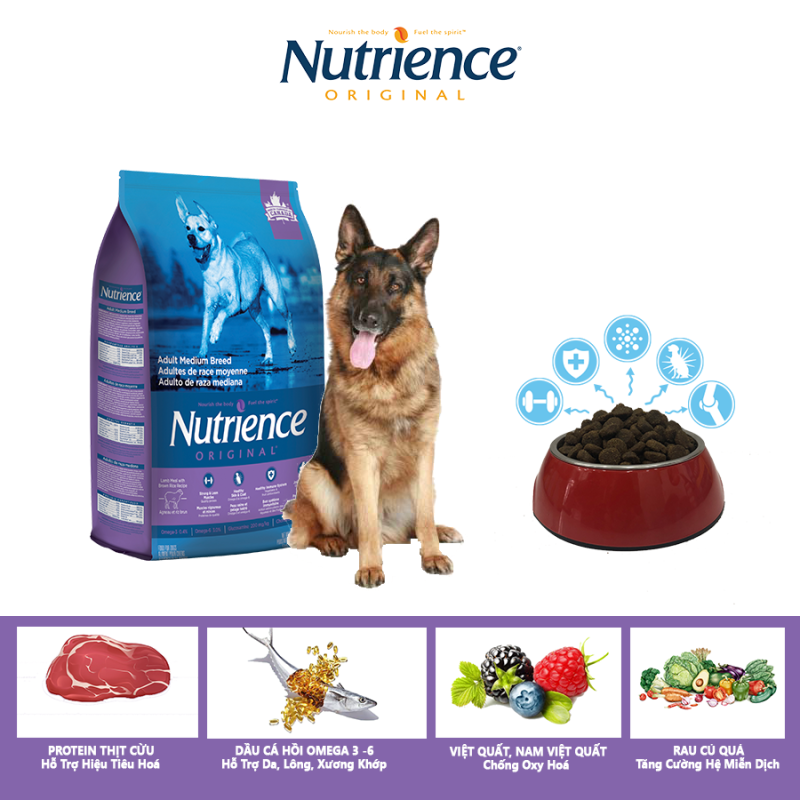 Thức Ăn Cho Chó Becgie Nutrience Original Phát Triển Cơ Bắp, Xương Sụn Cơ Khớp, Hệ Miễn Dịch, Hệ Tiêu Hóa Khỏe Mạnh, Da Lông Bóng Mượt - Thịt Cừu, Rau Củ Và Trái Cây Tự Nhiên