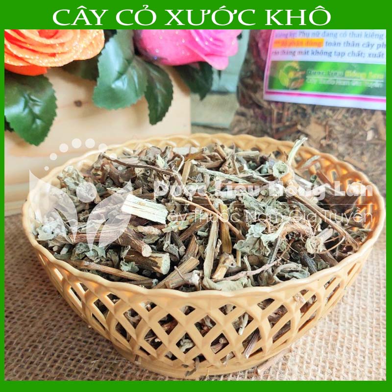 Combo 5kg cây cỏ xước khô - công ty tnhh dược liệu hồng lan