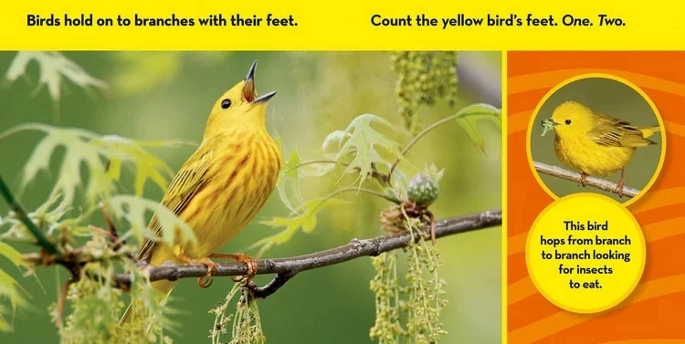 National Geographic Kids - Look & Learn (12 cuốn - Sách thiếu nhi tiếng anh)
