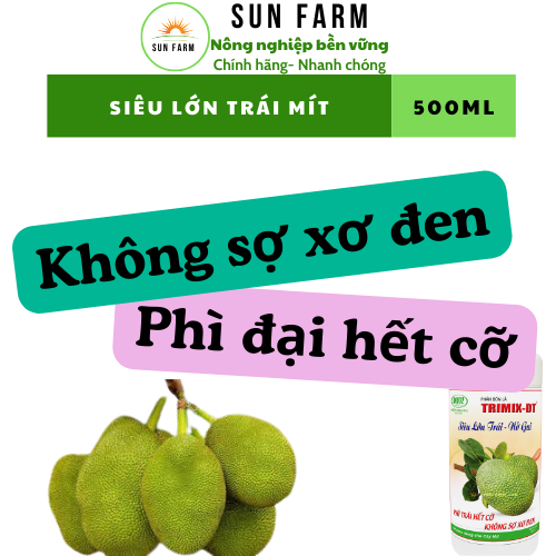 [mua 5 tặng 1] SIêu lớn trái nở gai mít 500ml
