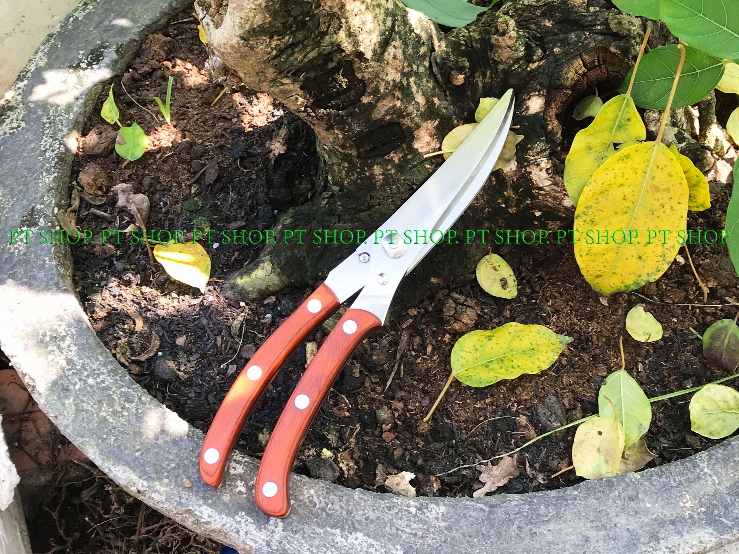 kéo cắt gà seki - cắt cả thế giới