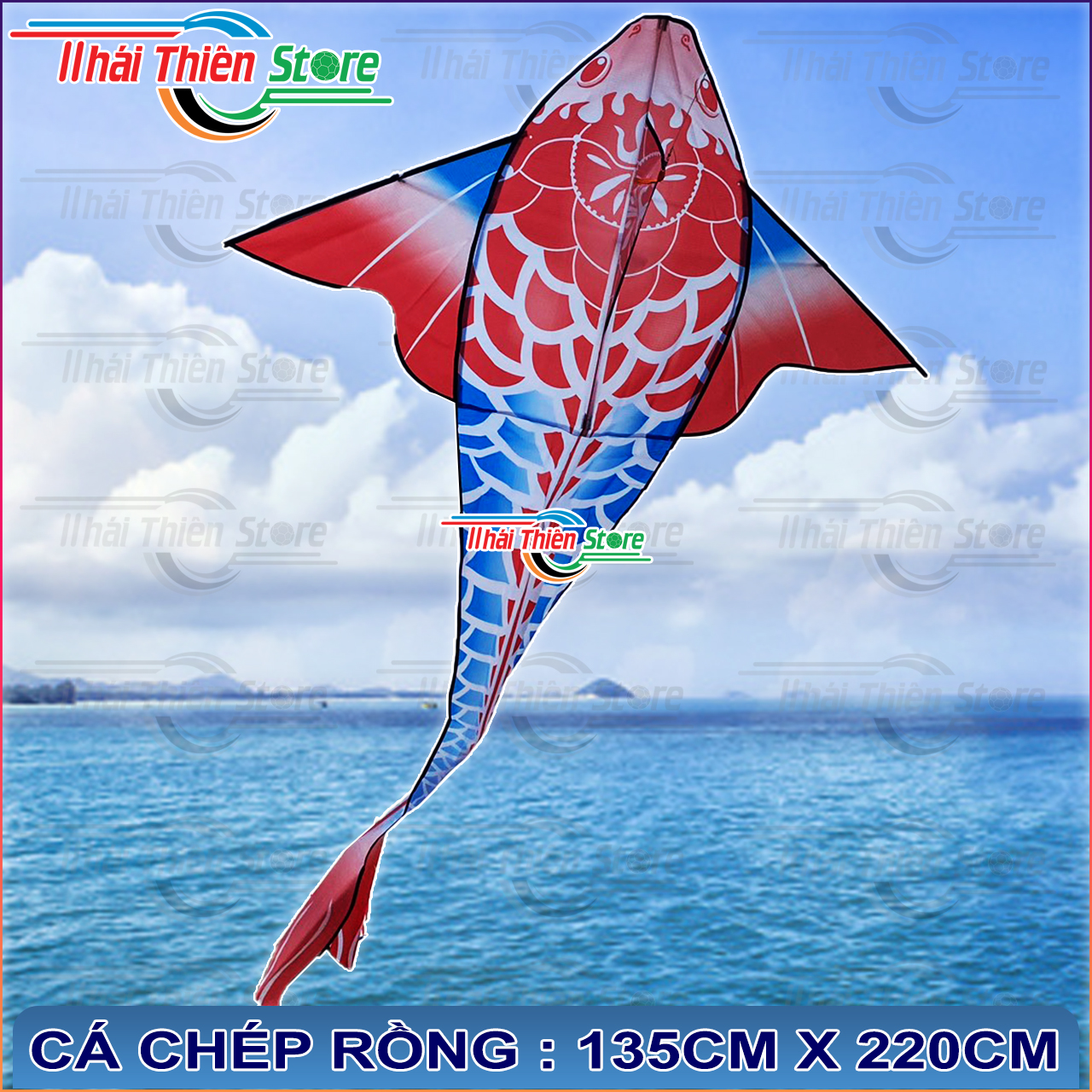 Diều Cá Koi, Chép Rồng Nhiều Màu
