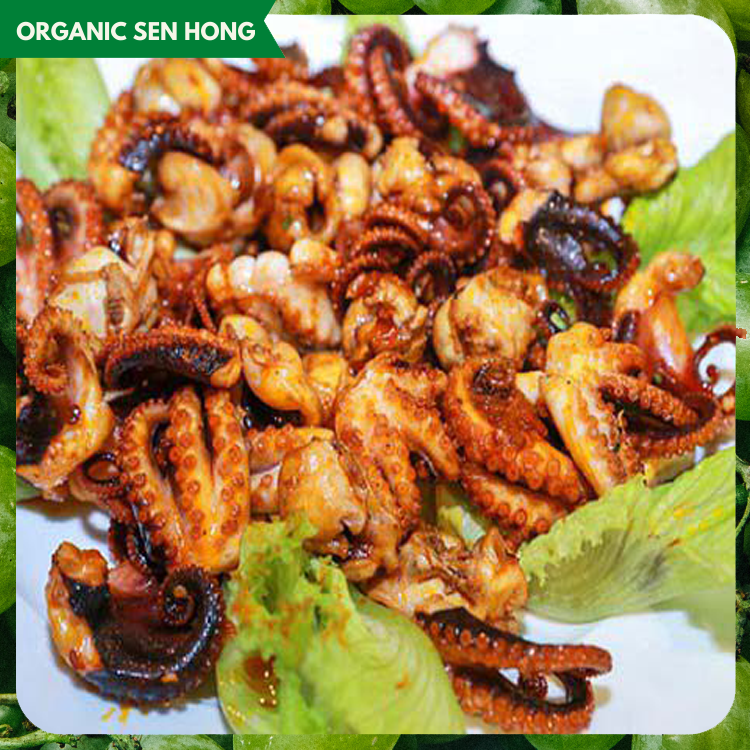 Bạch tuộc nguyên con làm sạch size 20/40 500gr