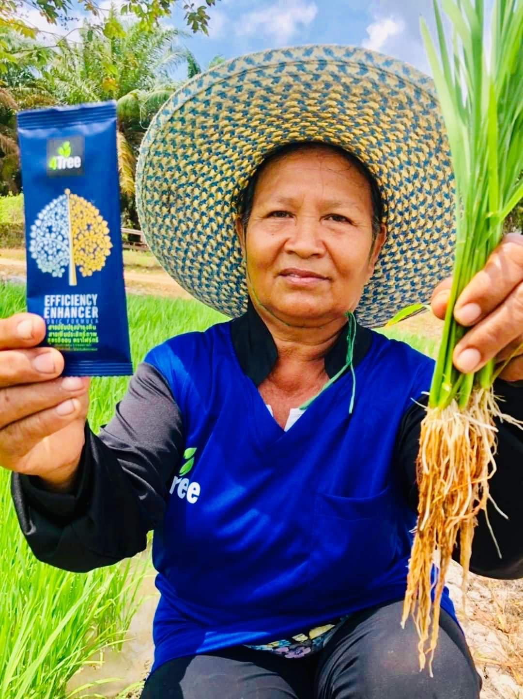 1 gói phân bón hữu cơ 4 tree