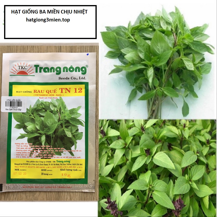 Gói 10gram hạt giống rau quế lá lớn trang nông