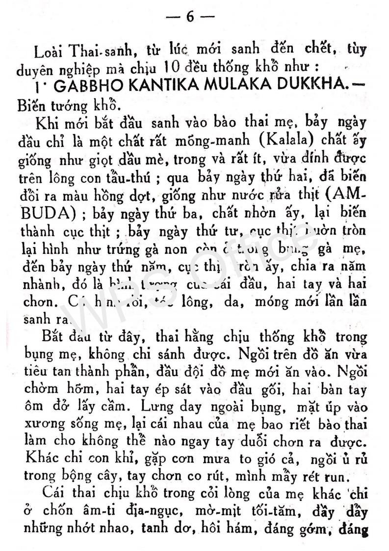 Tứ Diệu Đế Kinh – Tịnh Tâm