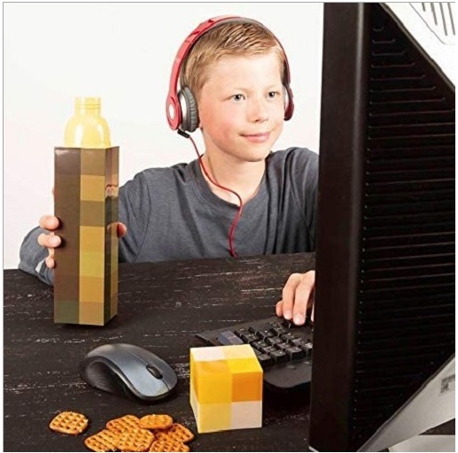Bình Đựng Nước Minecraft Hình Đuốc