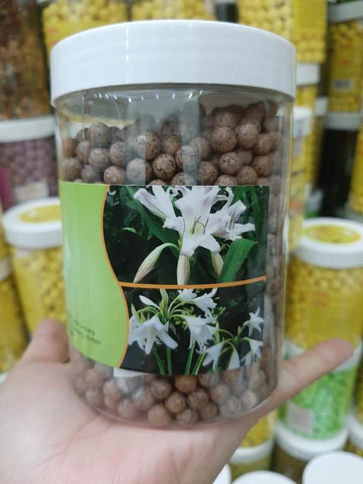 [ HOT] Viên Trinh Nữ Hoàng Cung Cao Xạ Đen ( hũ 500g)
