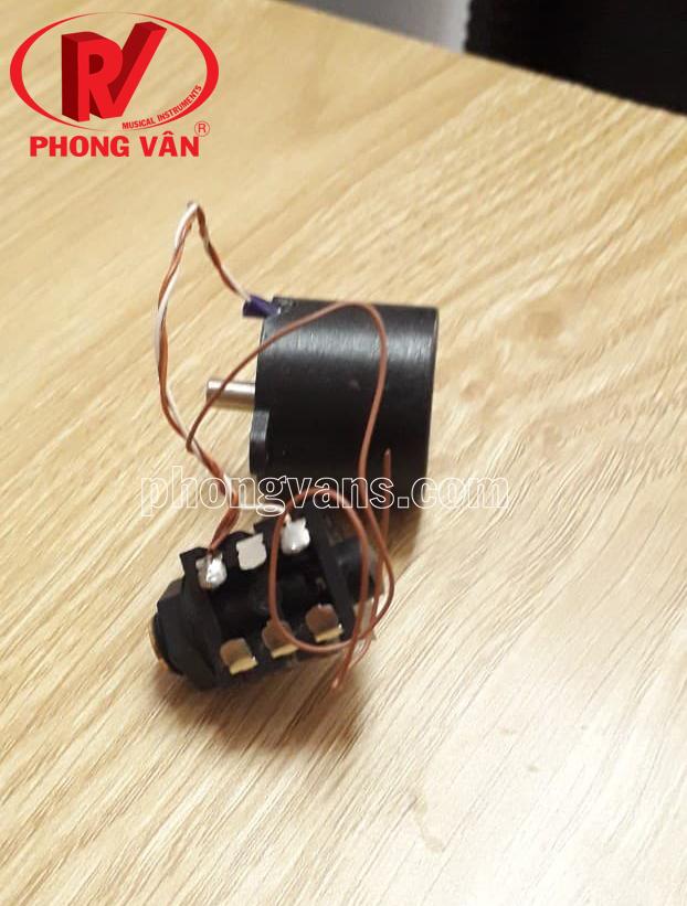 mobin đàn bầu
