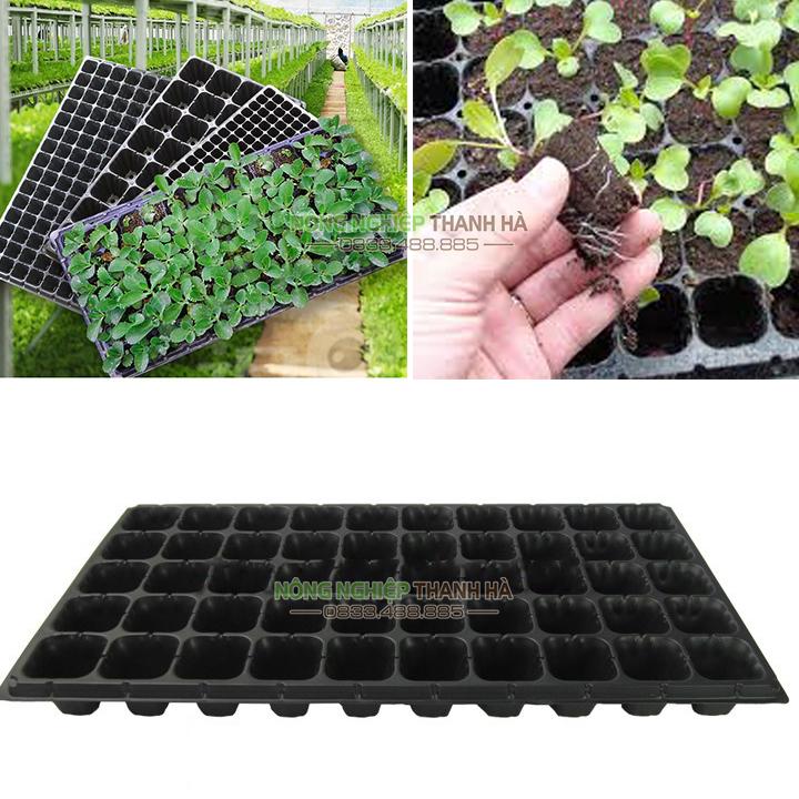 5 Khay nhựa ươm cây 50 lỗ