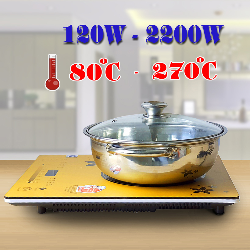 Bếp Điện Từ Hayasa Ha-790 Slim (Tặng Nồi Lẩu Inox Cao Cấp)