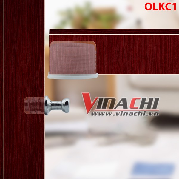 Ốc liên kết cam túi 100