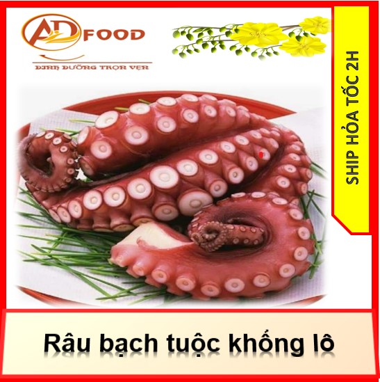 500gk râu bạch tuộc to hổng lồ (NET 6)