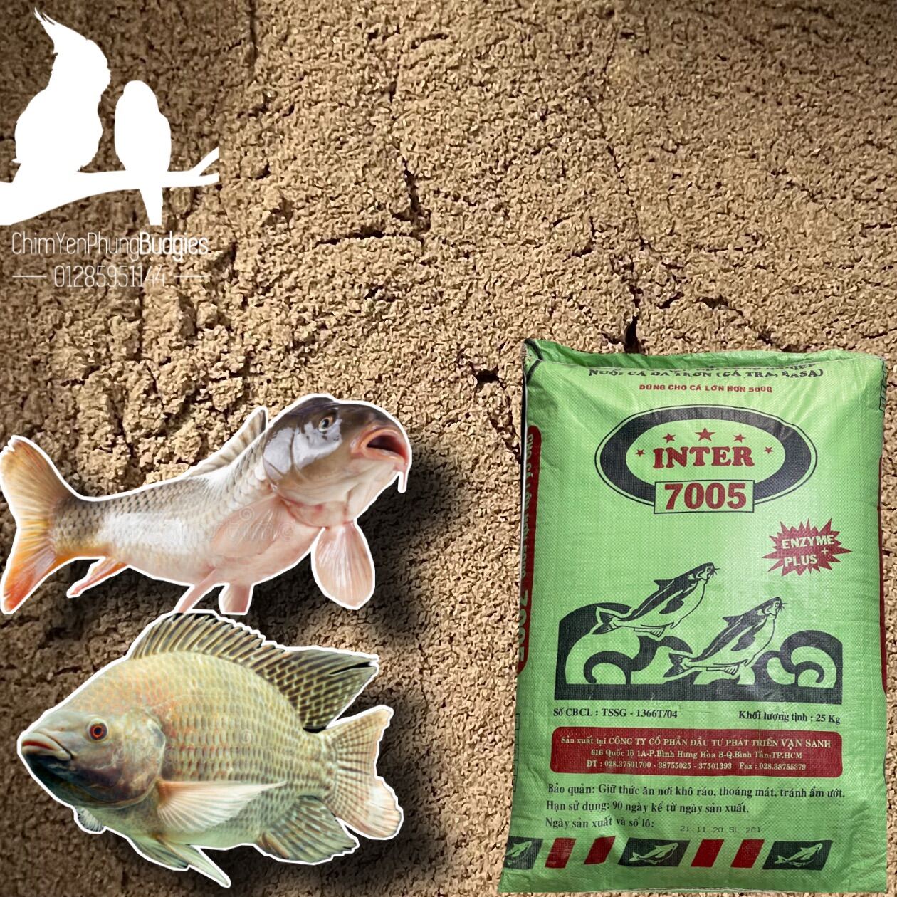 1kg Cám Cá INTER xay 7005 18% đạm cho cá ăn hoặc dùng câu cá (cá tra,chép,trê,rô phi,mè)