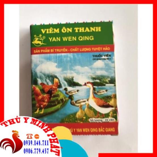 Viêm ôn thanh vỉ 24 viên