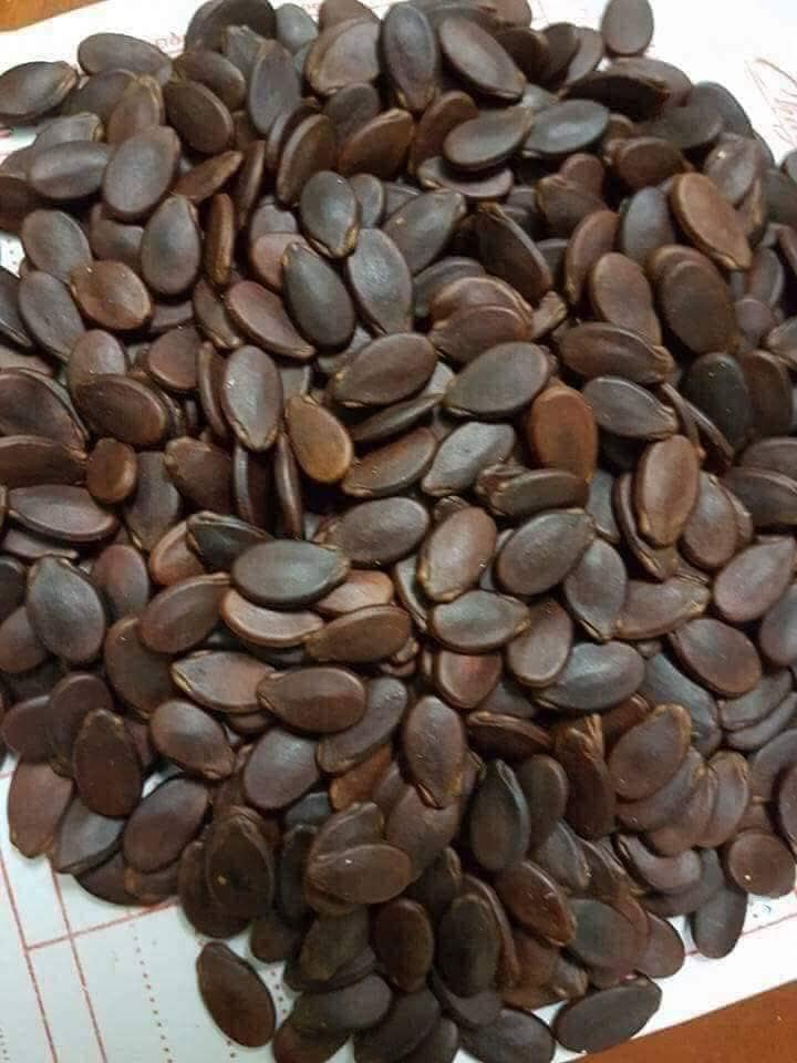 HẠT DƯA RANG CỦI TRƯỜNG ĐẠT BÌ ĐỎ NEW 500G
