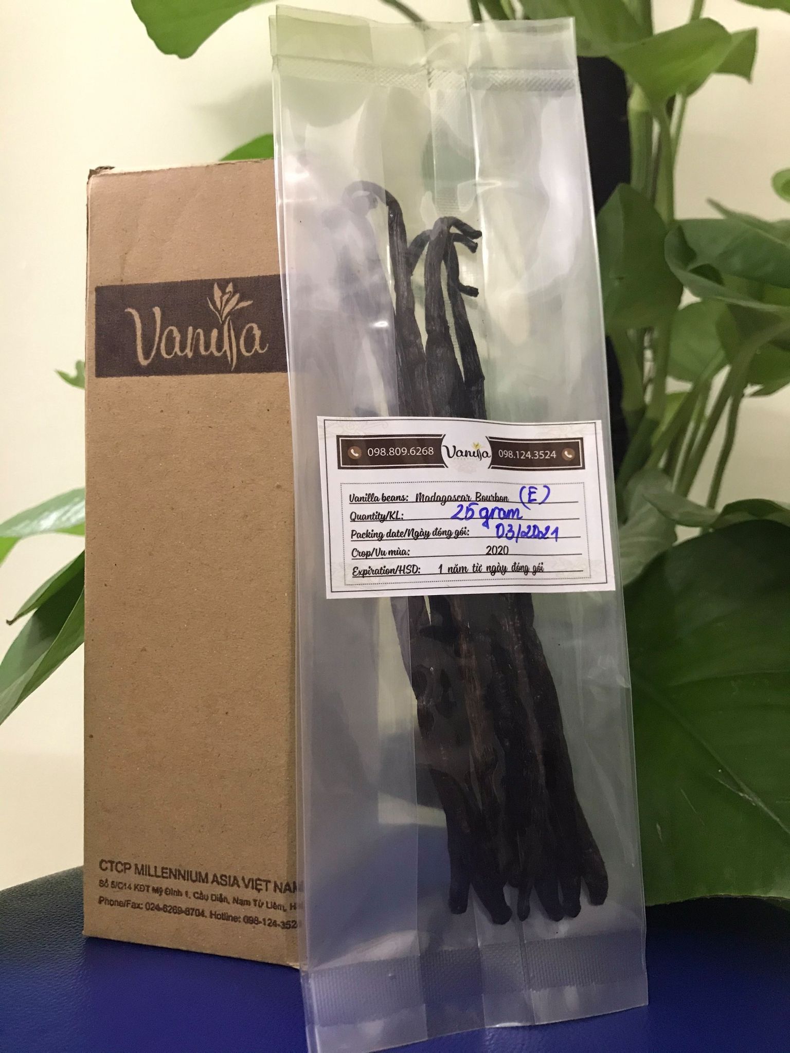 Quả Vanilla Madagascar Thường ( 25 grams )