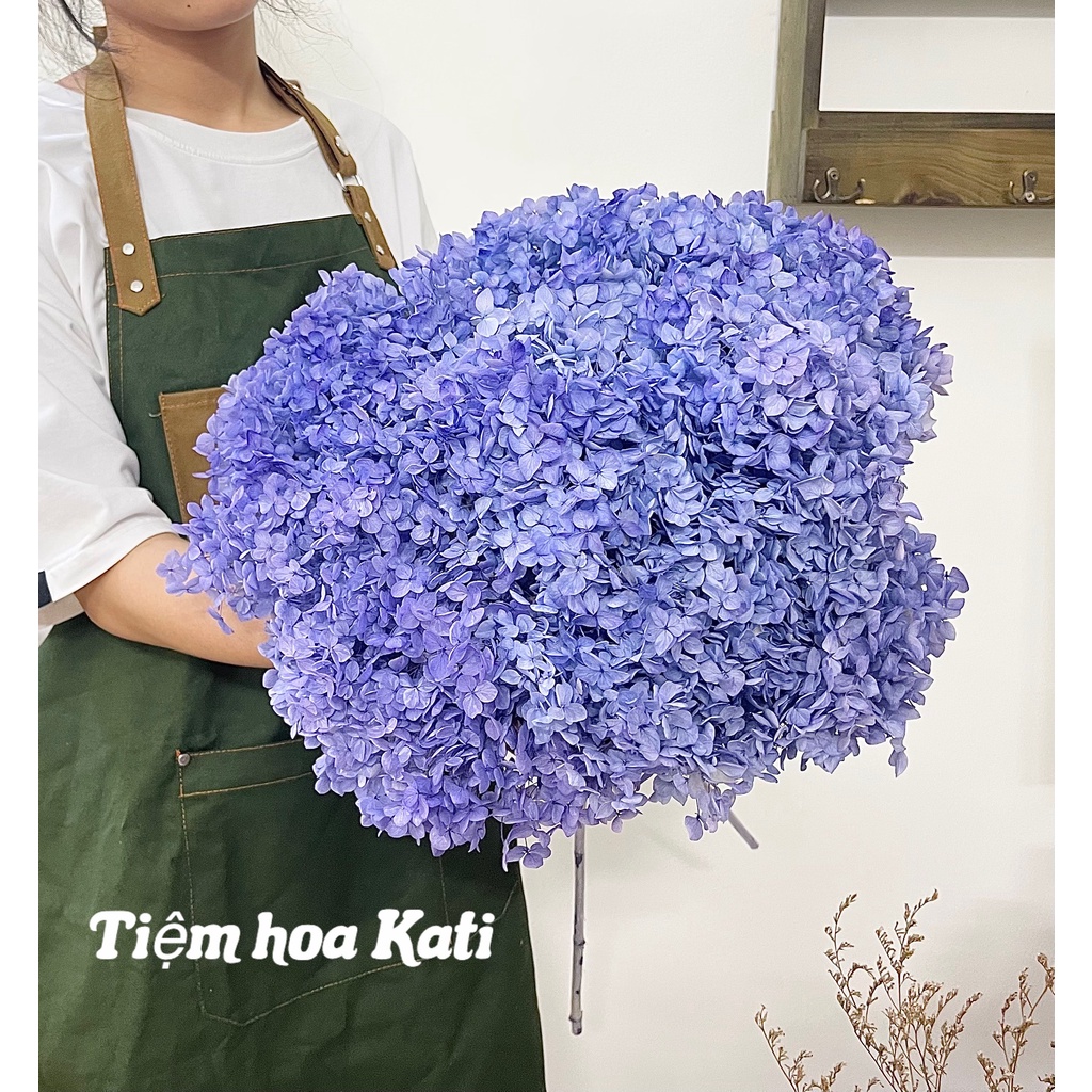 Hoa cẩm tú cầu khô, hoa khô decor trang trí
