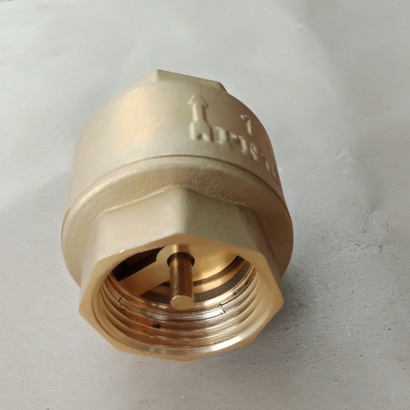 Van 1 chiều đồng lò xo phi 21, 27, 34