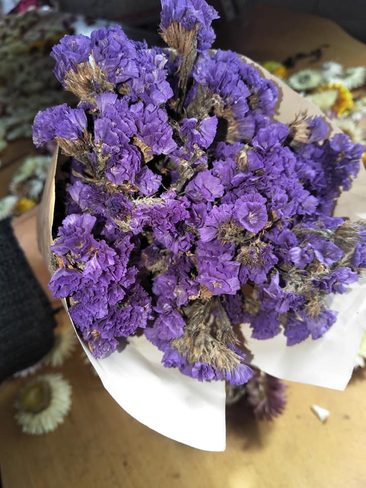 Hoa Salem khô Đà Lạt làm phụ kiện, set 50 cành mix màu, 15 - 20cm