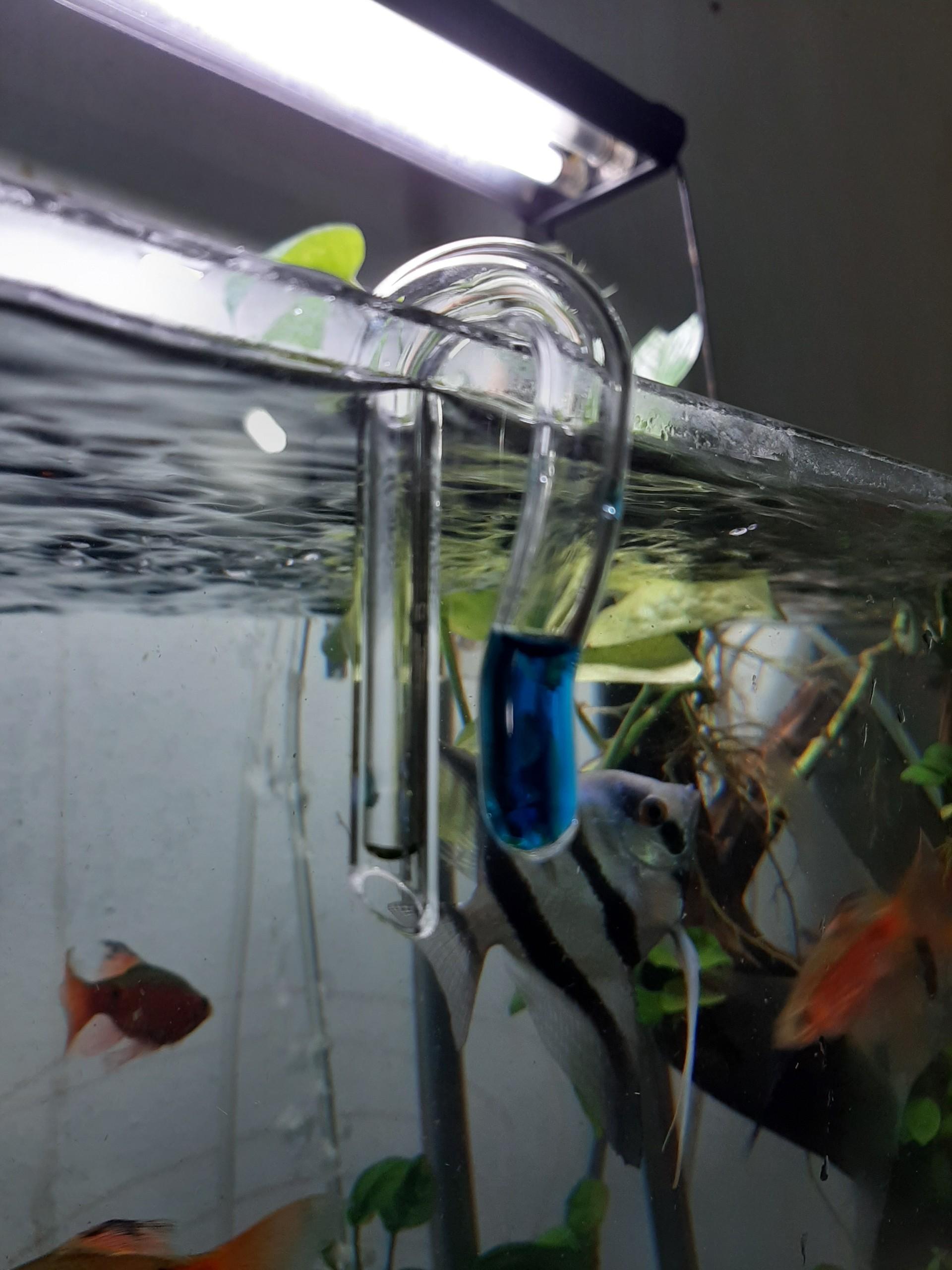 Phễu thuỷ tinh test CO2 (Chưa bao gồm dung dịch)