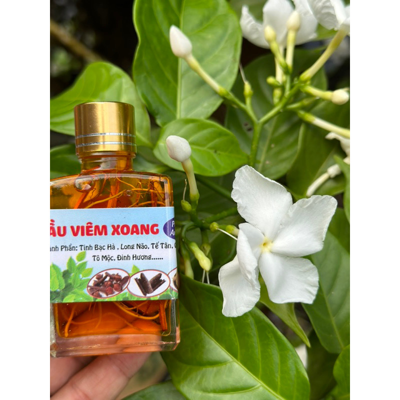 Dầu viêm xoang vàng 30ml