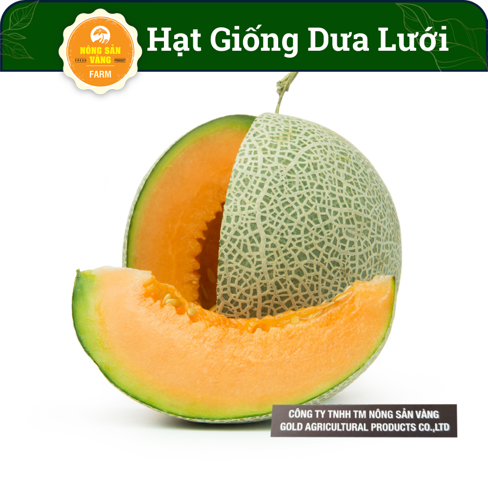 Easy to plant yellow core melon seeds for fruits, rich nutrition (pack of 20 seeds)-shallow yellow product