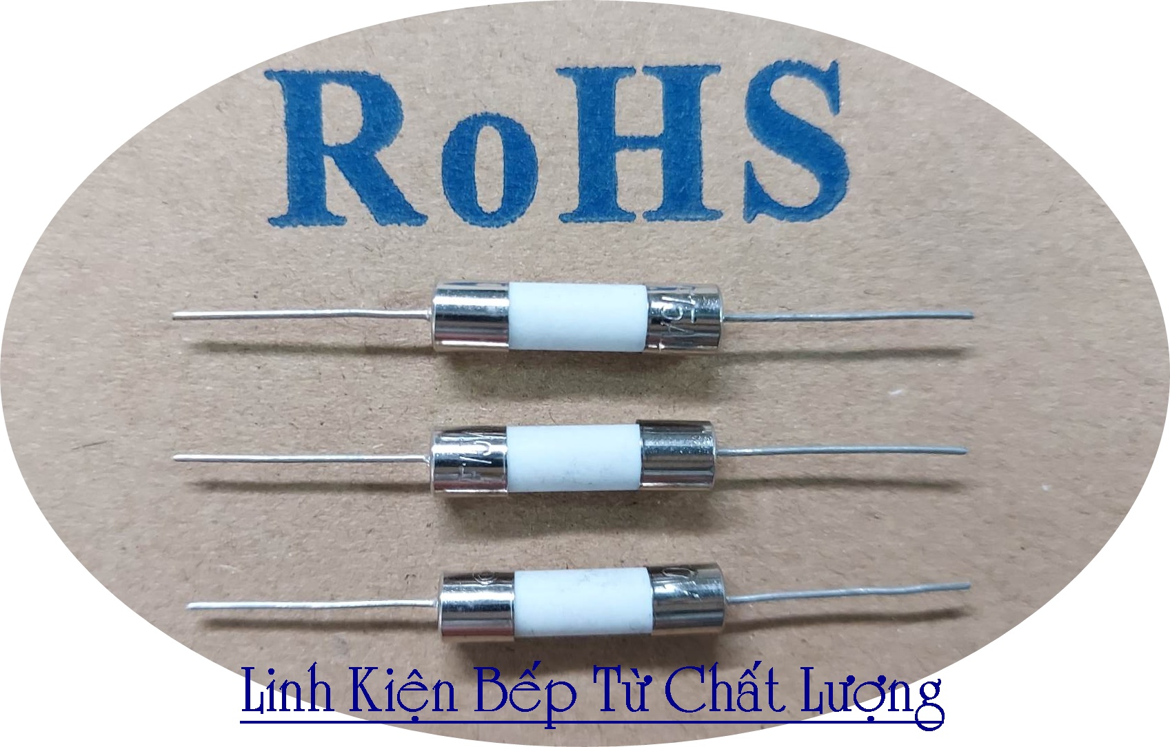 (20 cái) Cầu Chì Sứ Chân Cắm 10A 250VAC 5x20mm Mới.