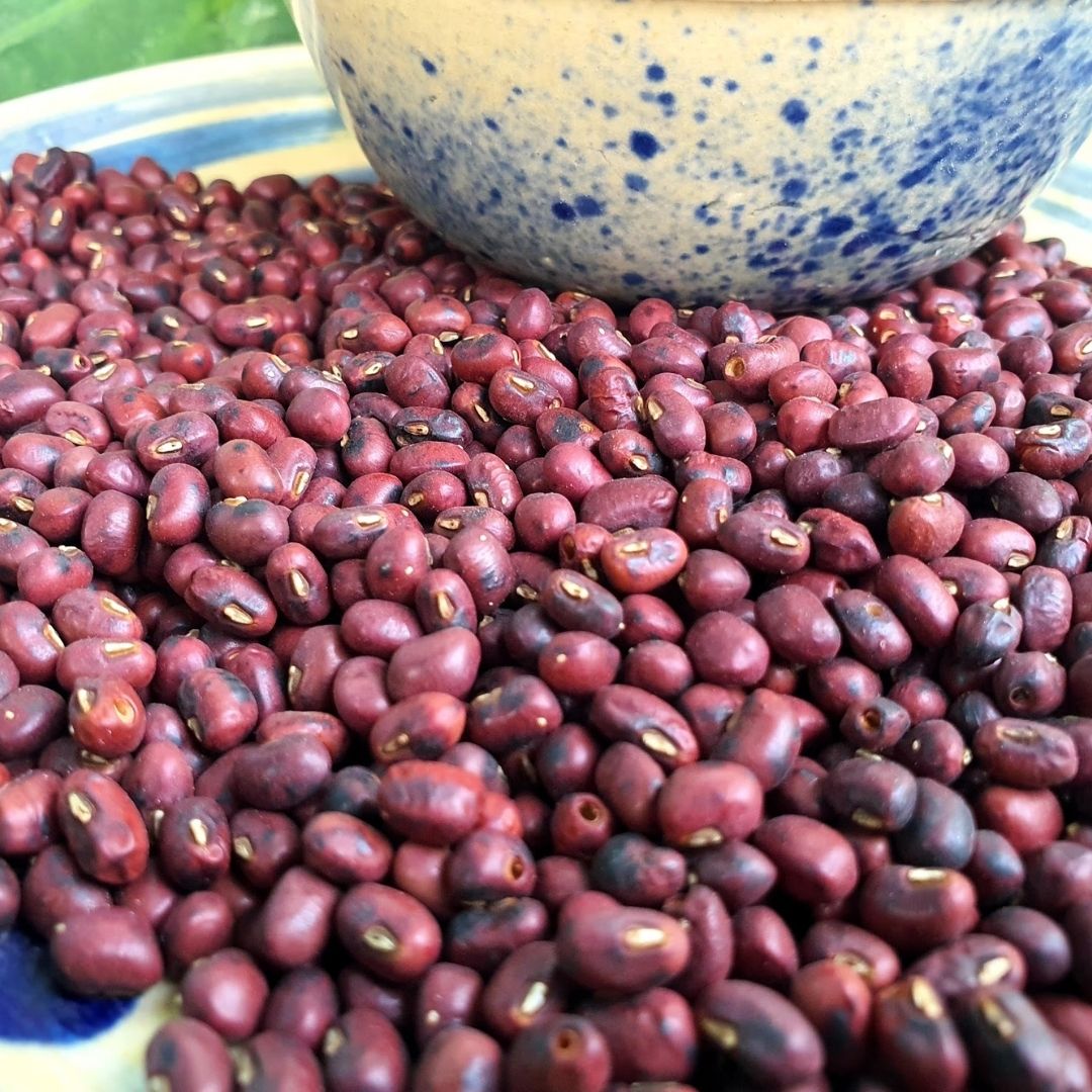 Trà đậu đỏ ÔNG THẮNG - 500G
