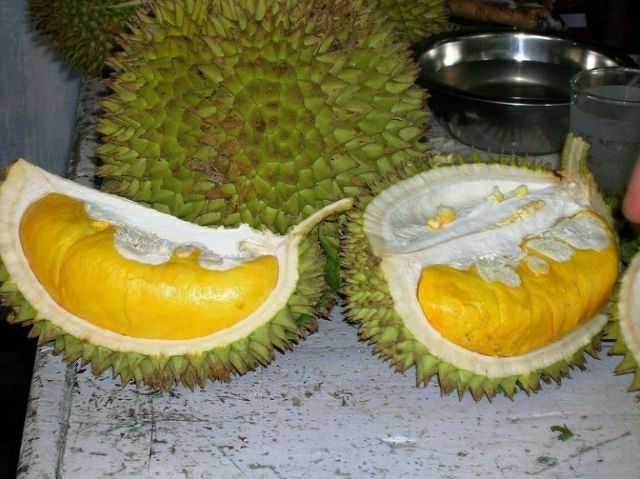 Cây sầu riêng ri6 (3 năm cho trái)