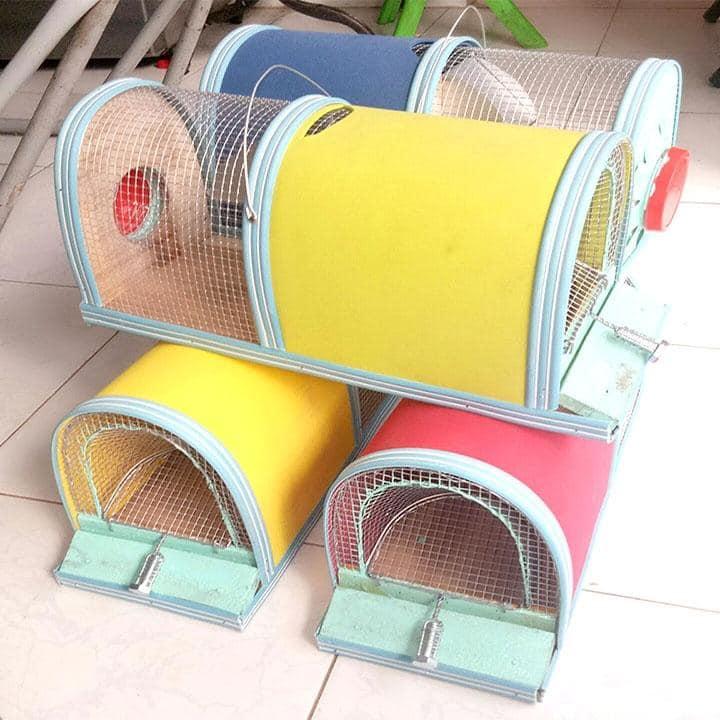 Bẫy chuột tự động 2 ngăn