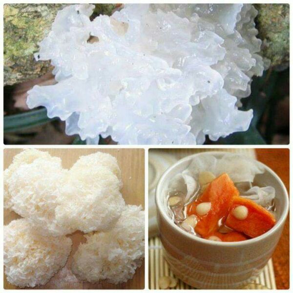 Nấm Tuyết Thượng Hạng 500g