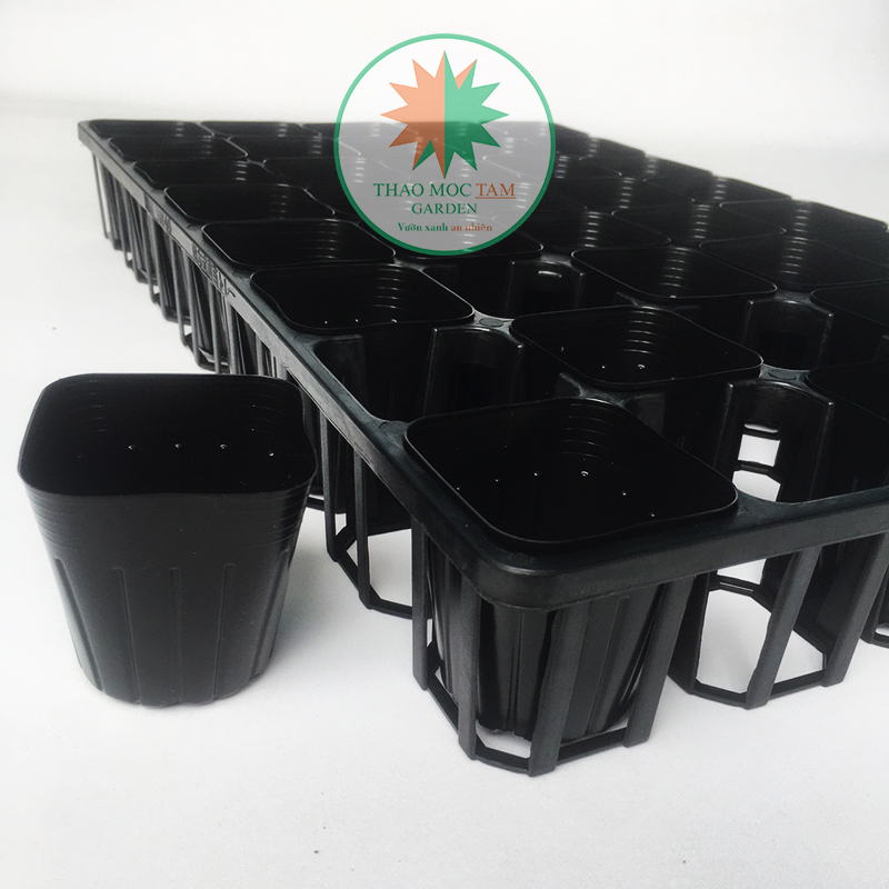 Combo 03 bộ khay 40 lỗ + 120 chậu ươm 7.5 chuẩn nhật - khay ươm cây con, cây giống làm vườn