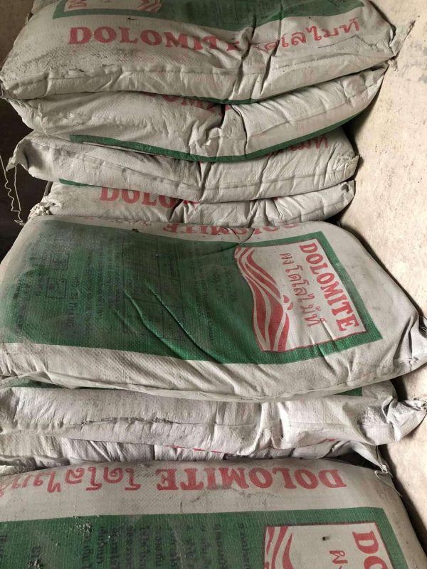 [ Hàng Chính Hãng]  Vôi dolomite cao cấp (chuyên dùng để nuôi ốc bươu )