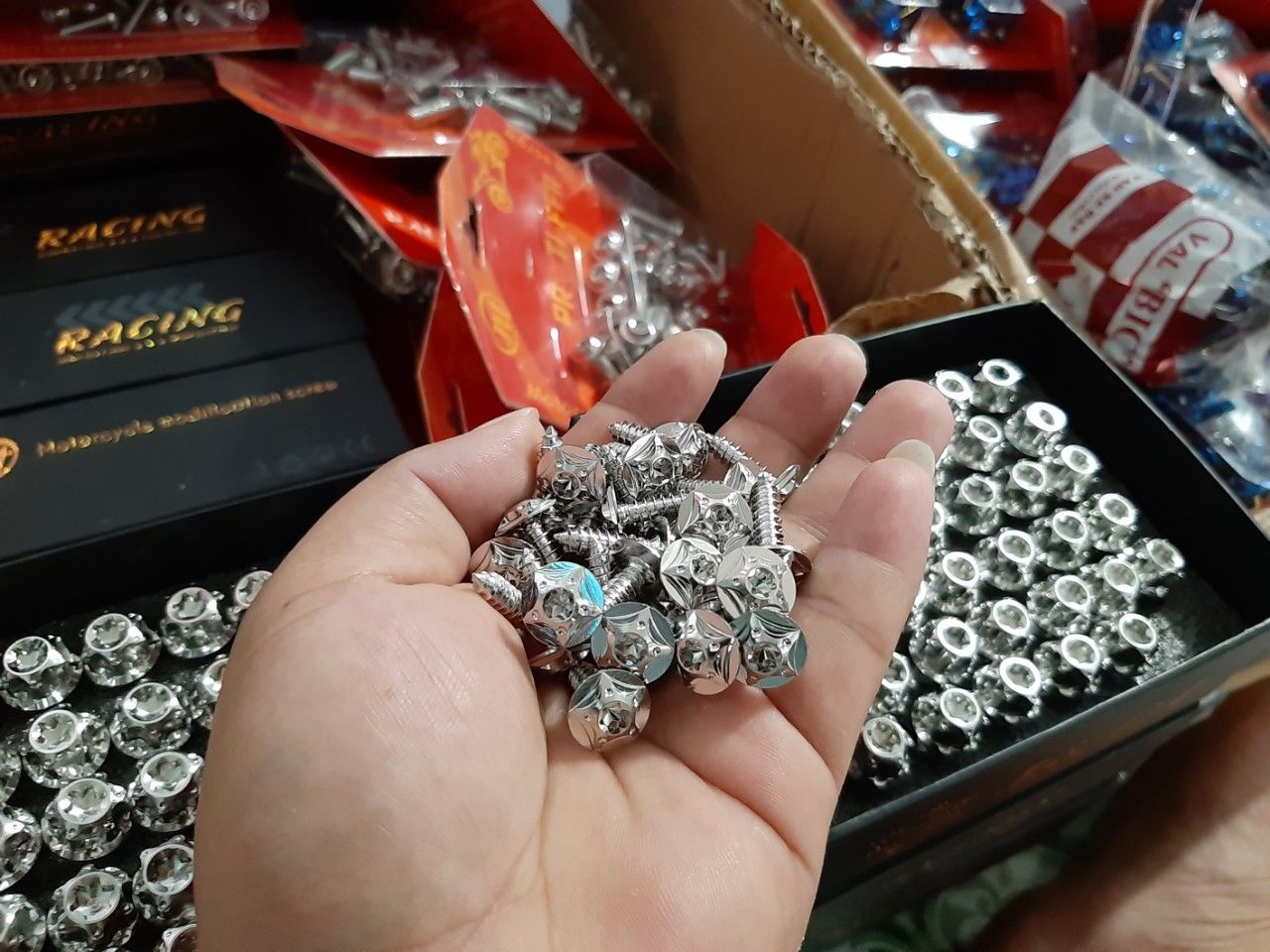 [HCM]ốc áo sirius salaya