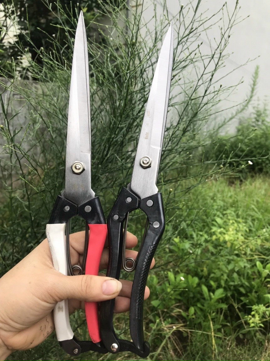 Kéo tỉa tán cây mũi dài 24 cm