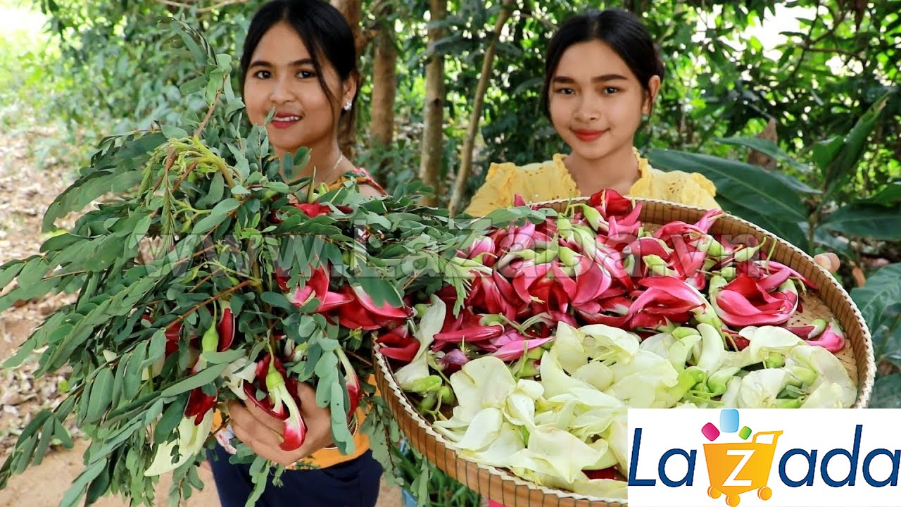 10h Hạt Giống Bông So Đũa Thái Đỏ (C5.301| C51*W35*M010)