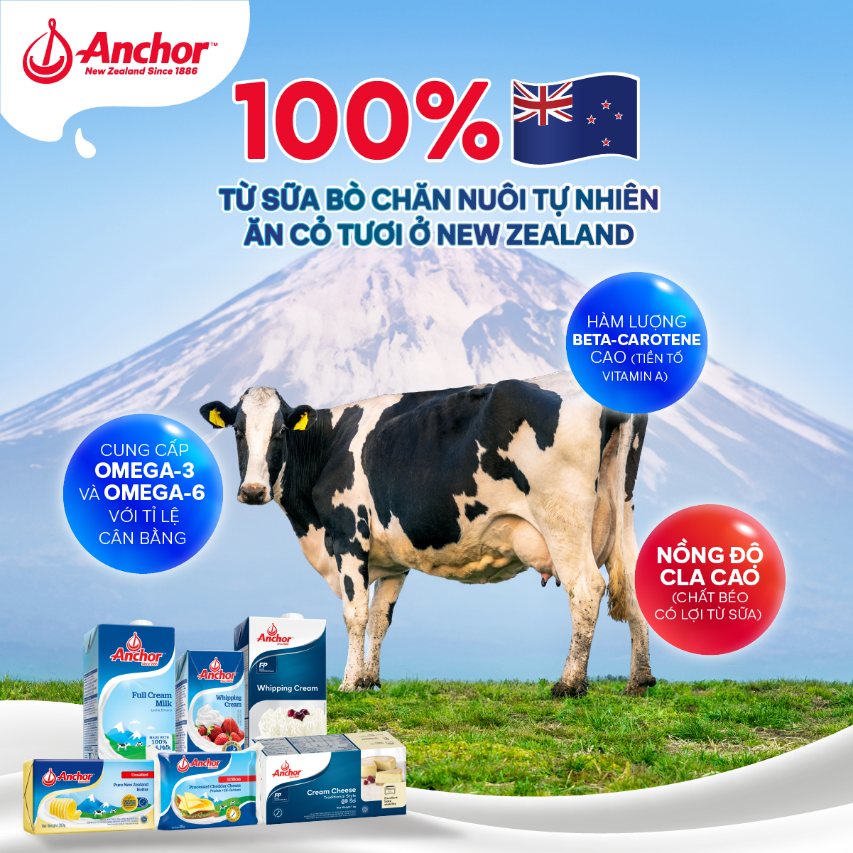 [GIAO HÀNG HỎA TỐC - HCM] Combo 2 Phô Mai Lát Anchor Cheddar 200G (12 Miếng)
