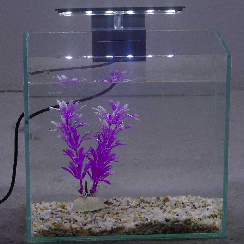 Bể cá mini để bàn 20x10x20 + Đèn Led