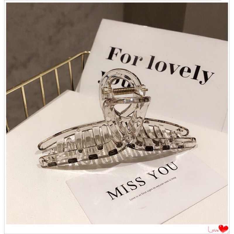 [Hot Trend] Kẹp tóc càng cua Limpid Y ♥︎ style Korean ♥︎
