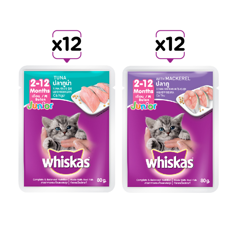 Combo 24 túi mix 2 vị thức ăn pate cho mèo con Whiskas 85g/túi