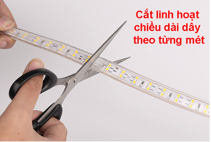 Đèn LED Dây Đôi 2835 - 2 Hàng - Siêu sáng - Chống nước (Mua 10m tặng 1 nguồn)