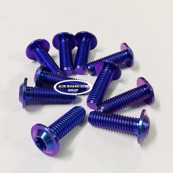 10 con Ốc Titan GR5 Đầu Dù 6li 2 Xanh Tím (Titan 100% )