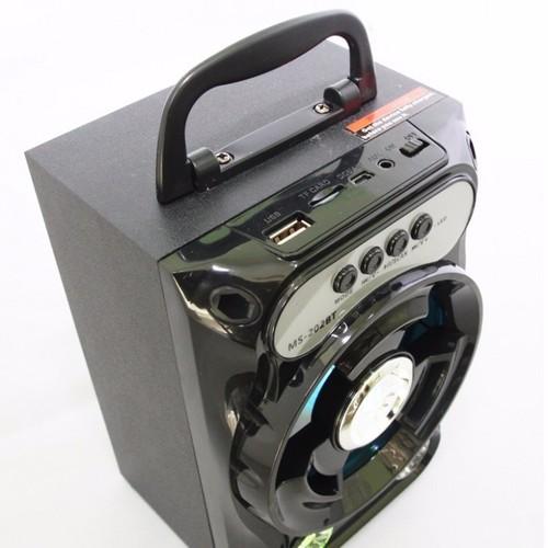 LOA DI ĐỘNG - LOA DI ĐỘNG - P40D31G6