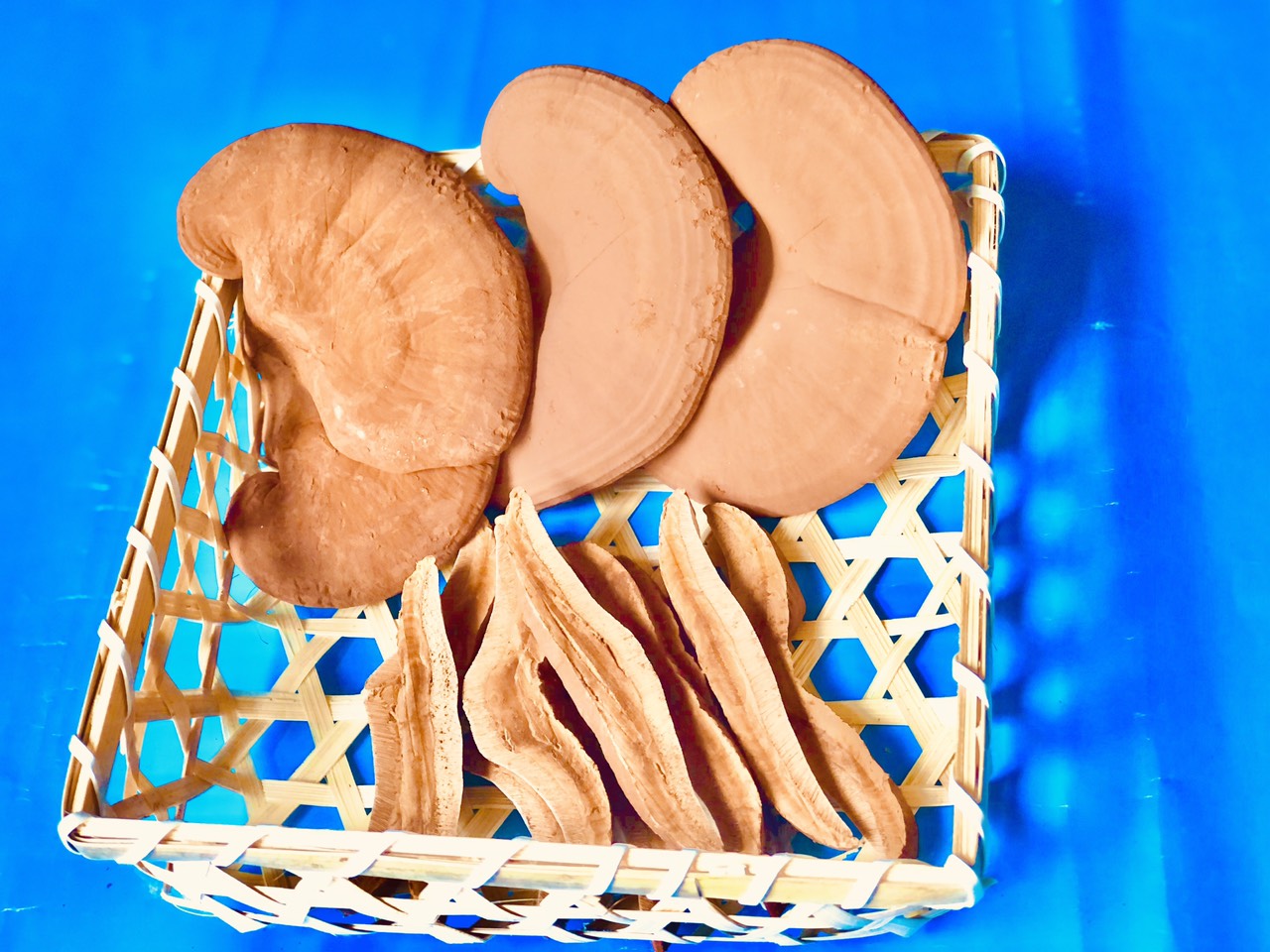 Trà Linh Chi SAU GIANG REISHI (KLT 70g, chế biến từ nấm linh chi còn nguyên bàu tử)