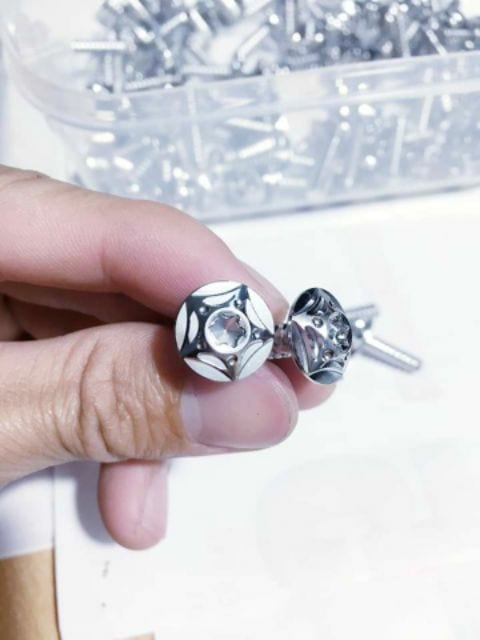 Bộ Ốc Salaya Cho Dàn  Áo Satria - Raider Fi (1 bộ 27 con)
