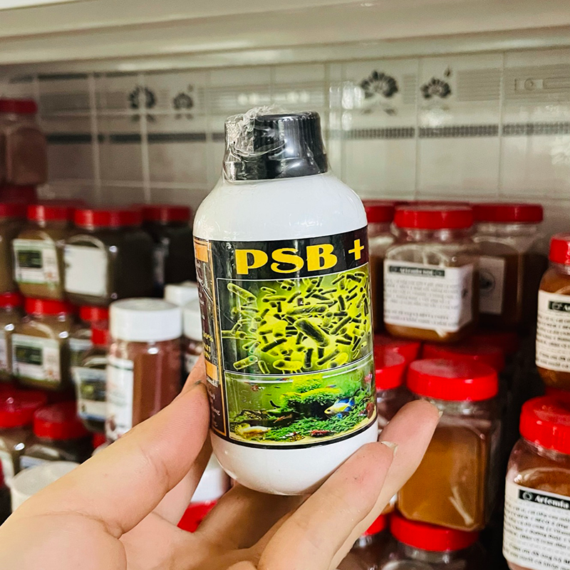 Chai Vi Sinh PSB - Cá 7 màu Betta Hồ Thuỷ Sinh